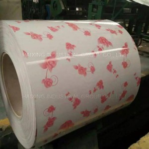 2019 Hot Dipped Galvanized Steel Coil